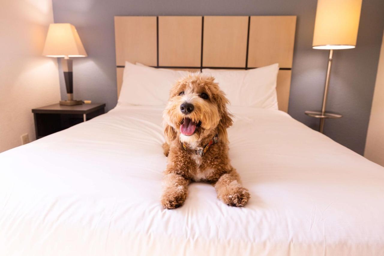 Sonesta Simply Suites Des Moines West Des Moines Eksteriør bilde